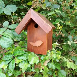 nichoir en peuplier pour oiseaux
