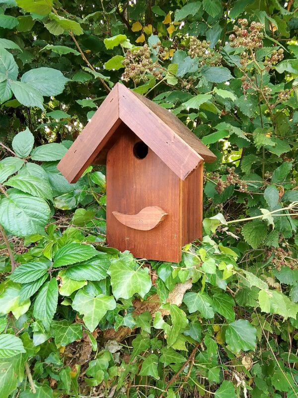 nichoir en peuplier pour oiseaux